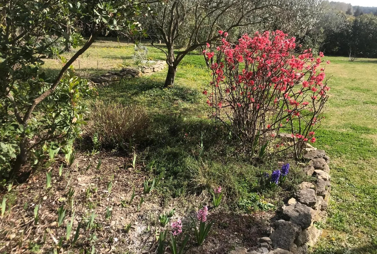 فيلة فيلا La Gloriette Saumane-de-Vaucluse